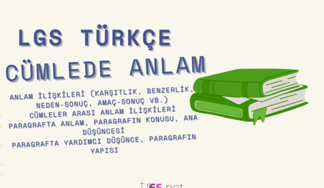 lgs-turkce-cumlede-anlam-konusu-temel-konu-anlatimi